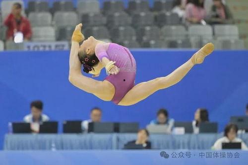 男子成人体操视频,技巧与激情的完美融合