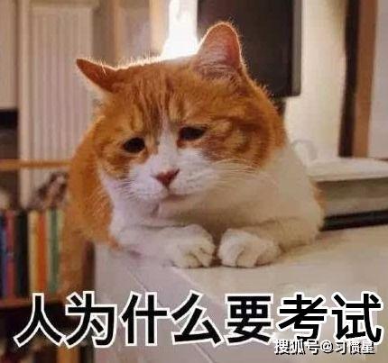 灵猫成人跳绳教学视频,轻松掌握成人跳绳技巧