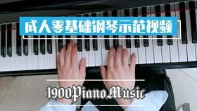 成人钢琴实录视频大全